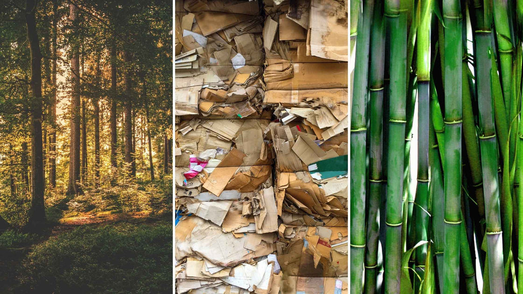 Normal vs Recycled vs Bamboo: The toilet paper types compared