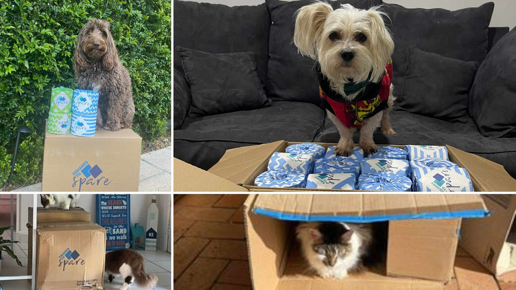 Keep your pets occupied with some toilet paper crafts