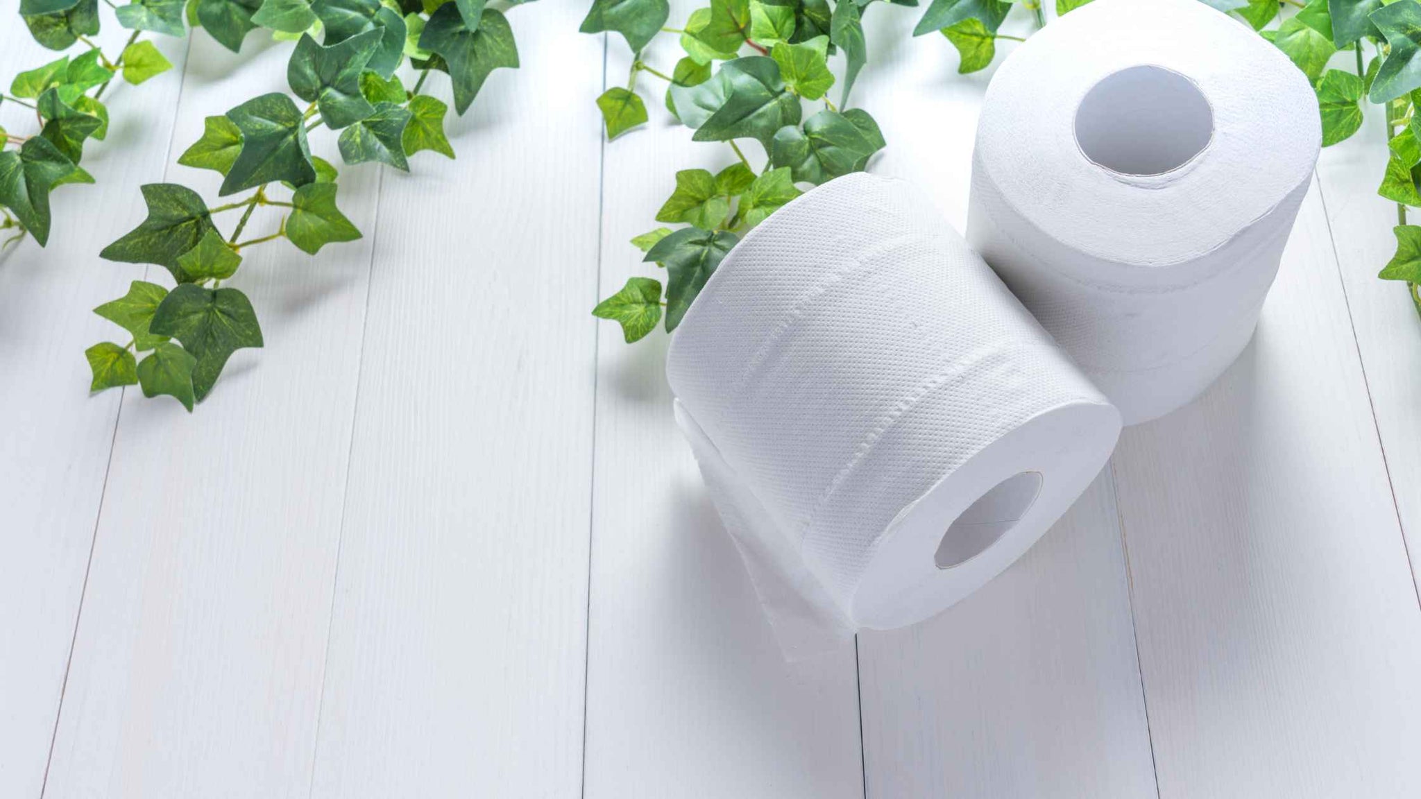 Transition to ecofriendly toilet paper in your home Squares to Spare
