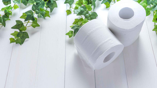 Tips for making the transition to eco-friendly toilet paper in your household
